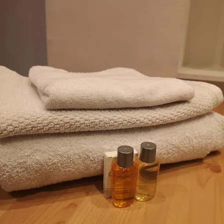 Parfait Pour Un Voyageur Solitaire. Apartment